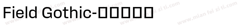 Field Gothic字体转换